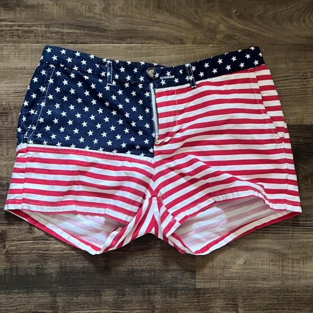 Chubbies American flag shorts